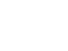 Niche luxury apartments white logo mark - Tampa, FL