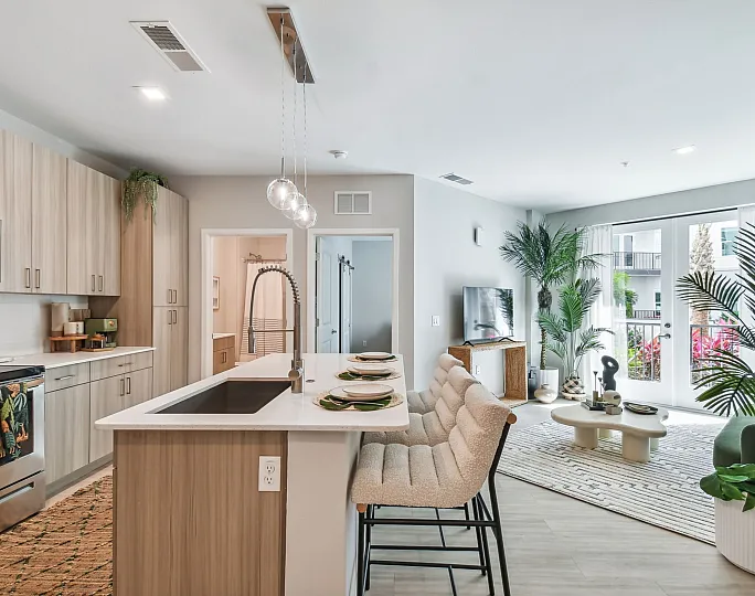 Open-concept kitchen and living room with elegant finishes and natural light at Niche luxury apartments in Tampa, FL