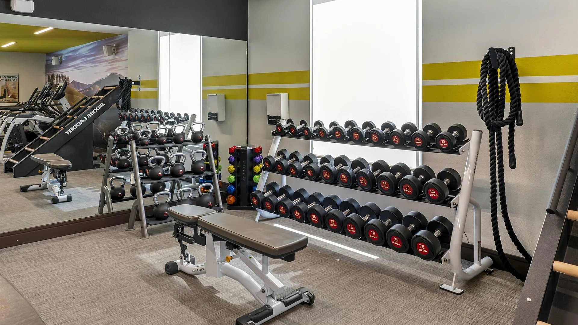 Modern fitness center with state-of-the-art equipment, sleek free weights, and vibrant workout atmosphere.