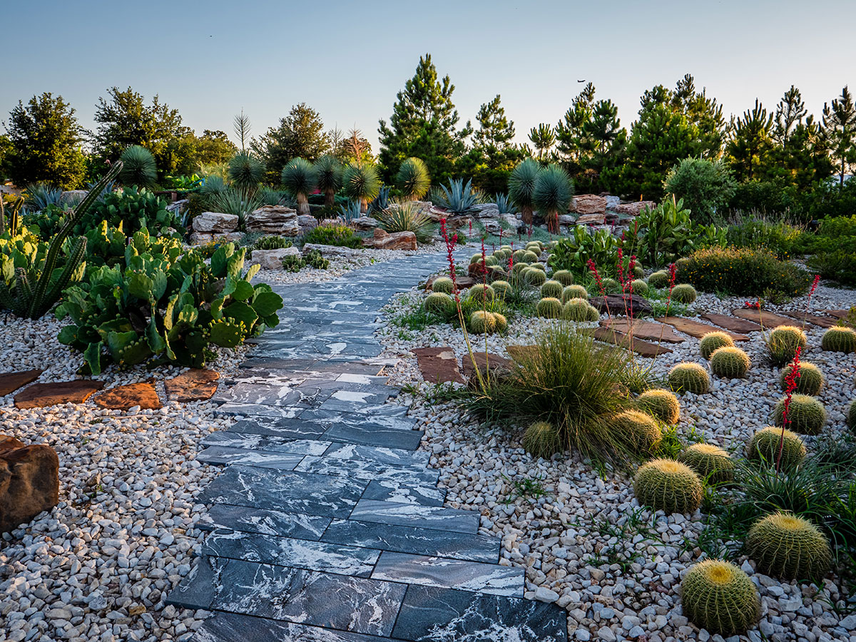 Things To Do in Houston | Botanic Garden & More
