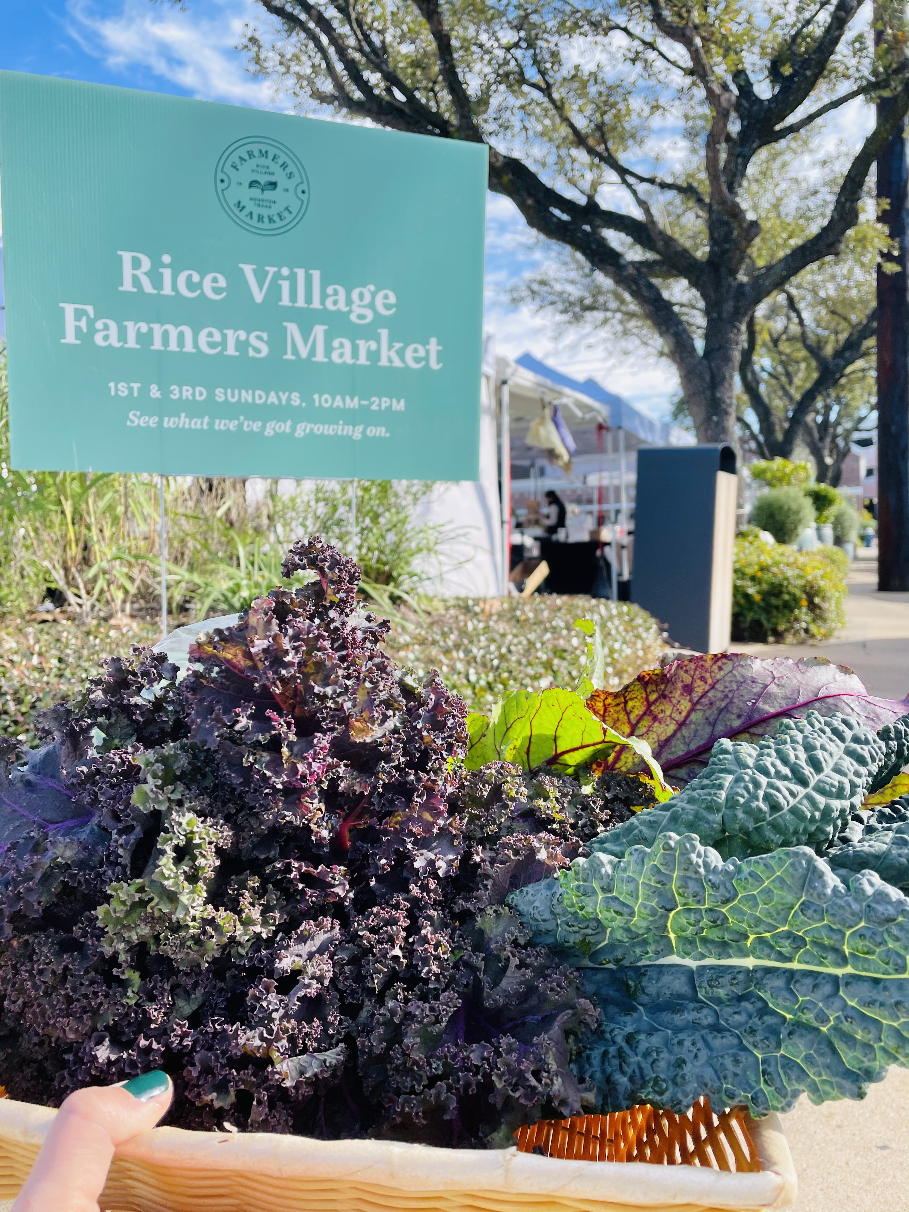 Rice Village Farmers Market | Shopping in ,