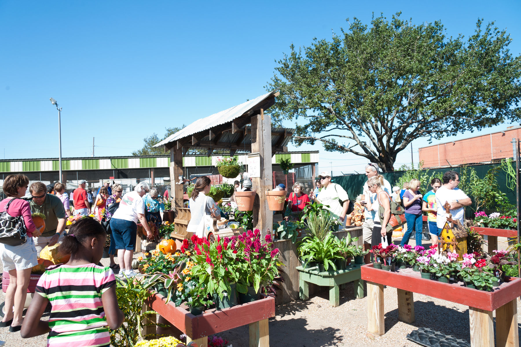 Farmers Market at Imperial Park | Visit Sugar Land, TX