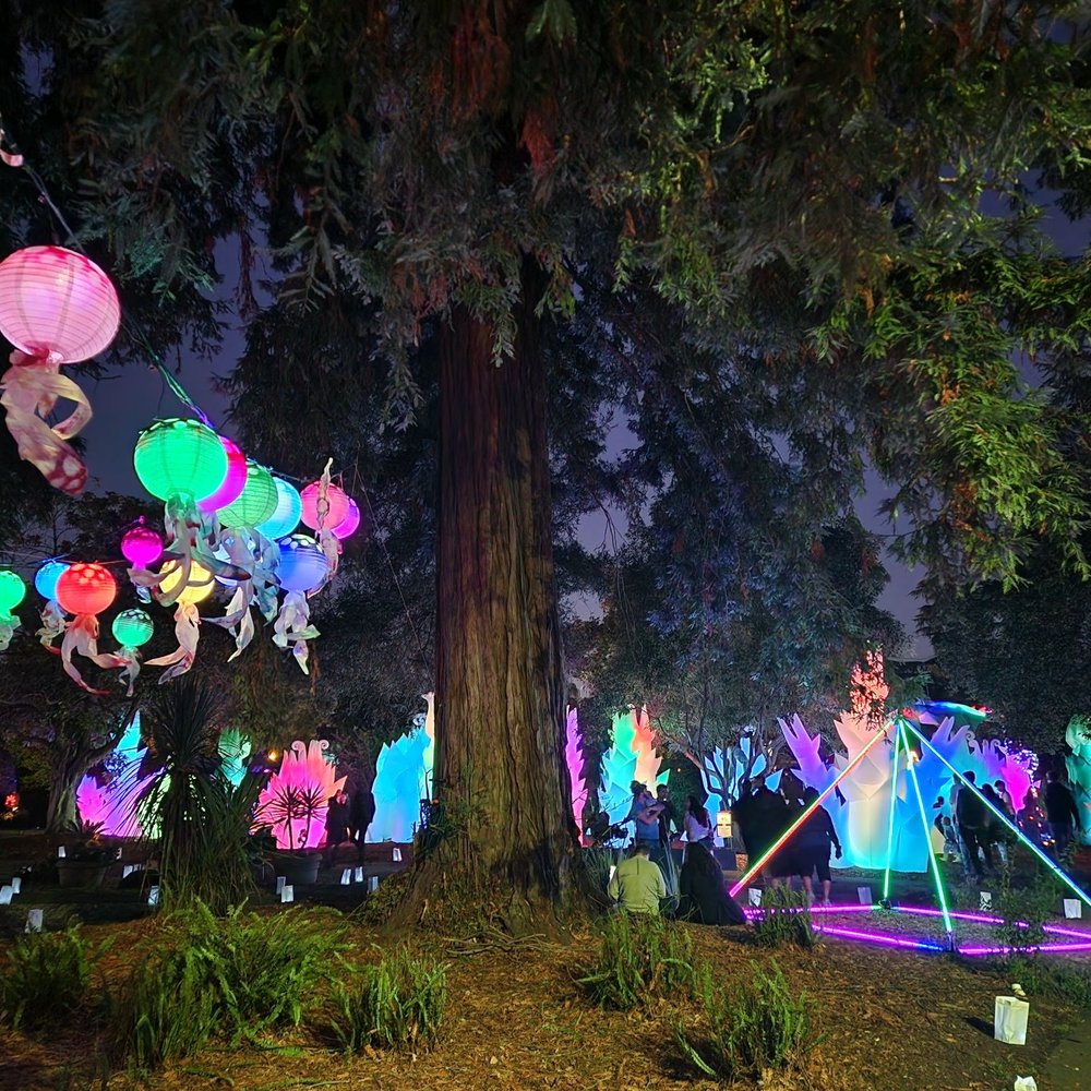 TOP 10 BEST Events This Weekend near Lake Merritt, Oakland, CA - Updated 2026 - Yelp
