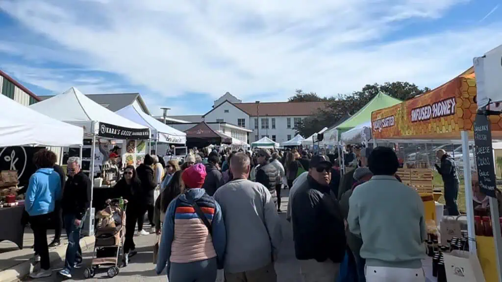 Kenwood Sunday Market: Discover Local Art, Food & Live Entertainment This August-image