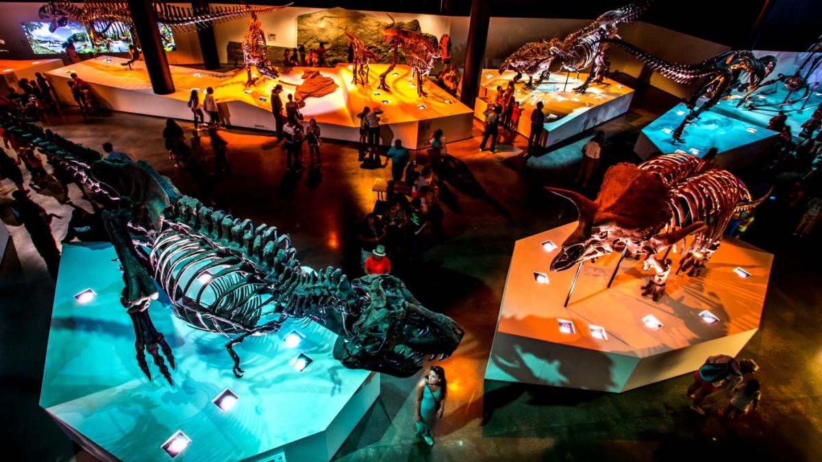 Houston Museum District, TX | Trip Ideas & Cultural Experiences