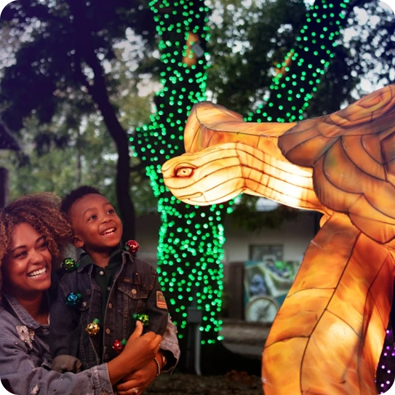 Ultimate Guide to Labor Day in Dallas 2025 - Domance Glamping