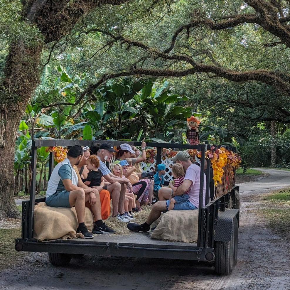Things to Do in Greater Fort Lauderdale This Fall