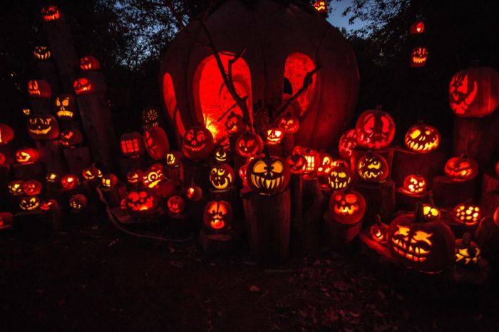 Pumpkin Festivals and Jack-O-Lantern Displays Near Boston 2026