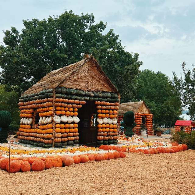 30+ of the Best Fall Festivals & Events in Dallas-Fort Worth
