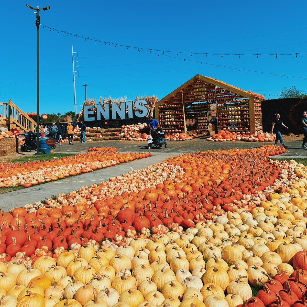 30+ of the Best Fall Festivals & Events in Dallas-Fort Worth