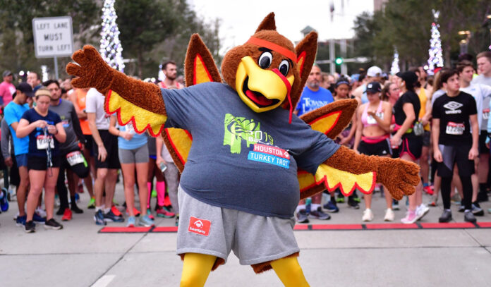 Celebrate the Season: Holiday Events and Thanksgiving Activities in Houston This November-image