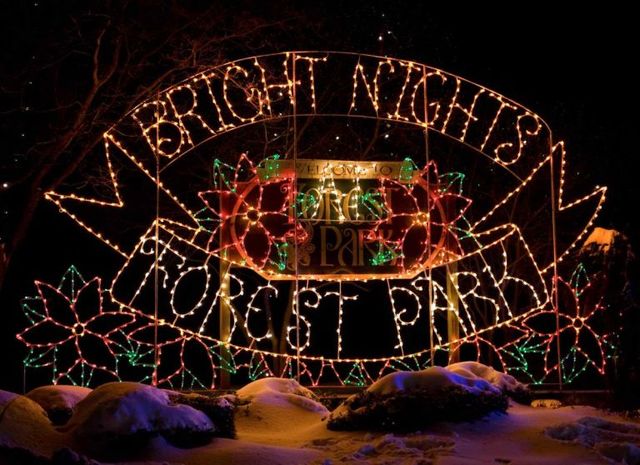 Holiday Light Festival | Bright Nights at Forest Park | MA