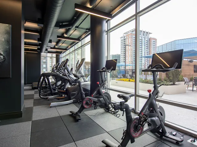 peloton bikes