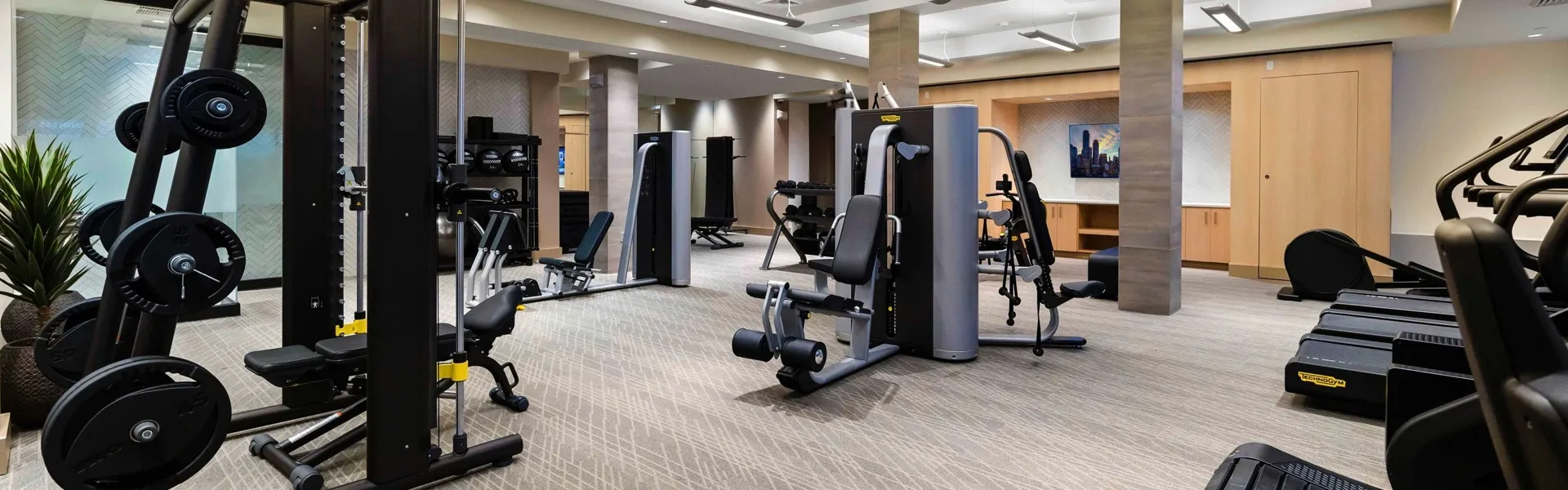 Stoneham Gym Representational Photo