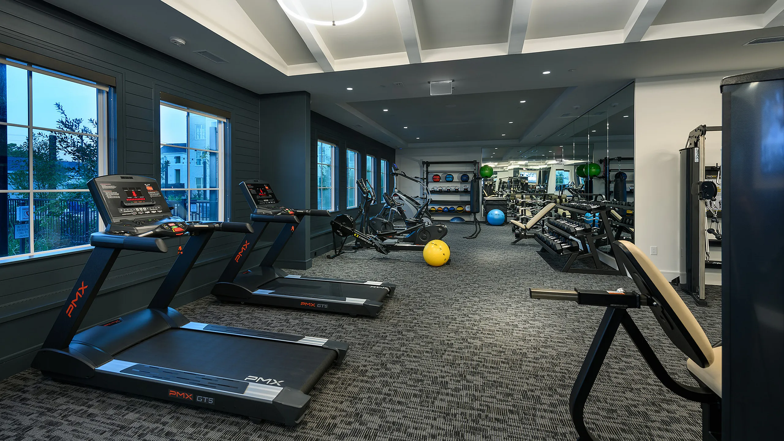 Modern fitness center with state-of-the-art treadmills, exercise bikes, free weights, and vibrant exercise balls, offering a bright and inviting workout space.