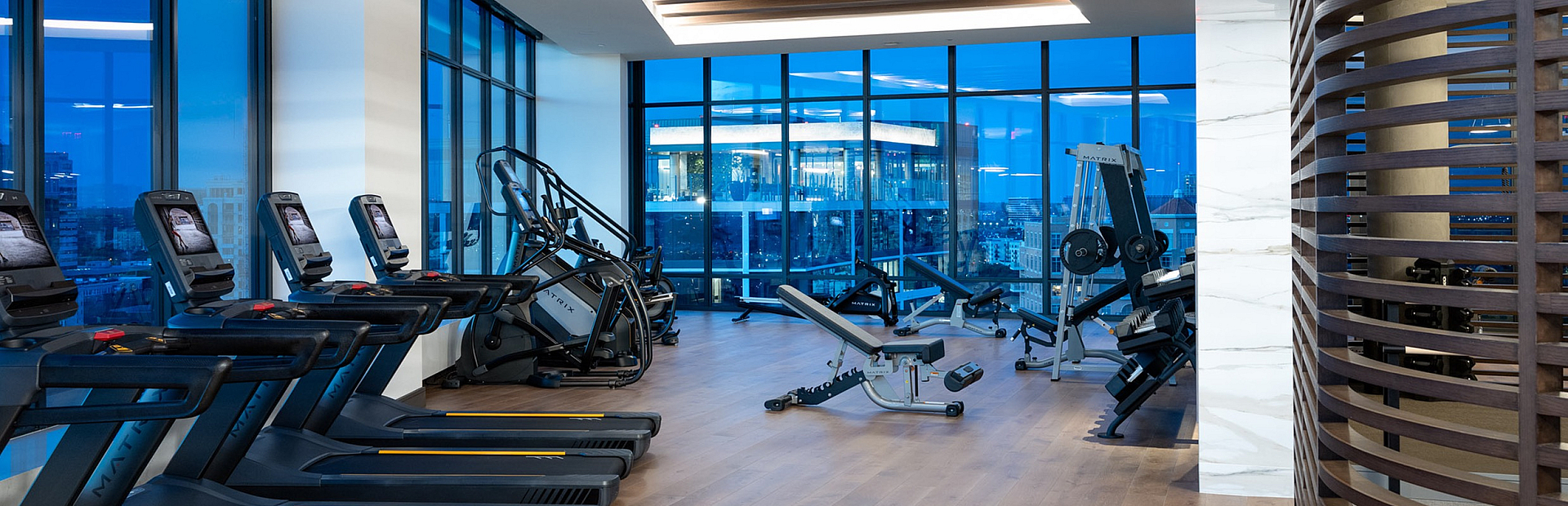 Elegant fitness center with modern gym equipment, featuring treadmills and weight machines against a backdrop of panoramic city views.