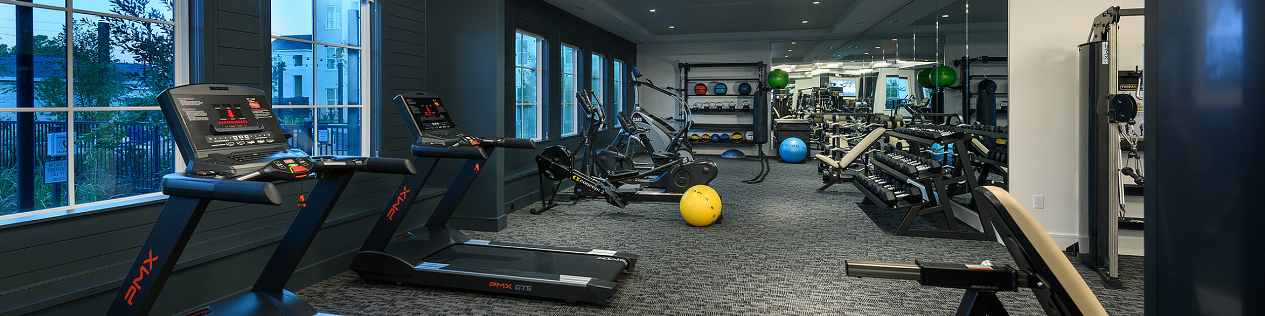 Modern fitness center with state-of-the-art treadmills, exercise bikes, weight racks, and vibrant exercise balls, offering a well-lit and spacious workout environment.