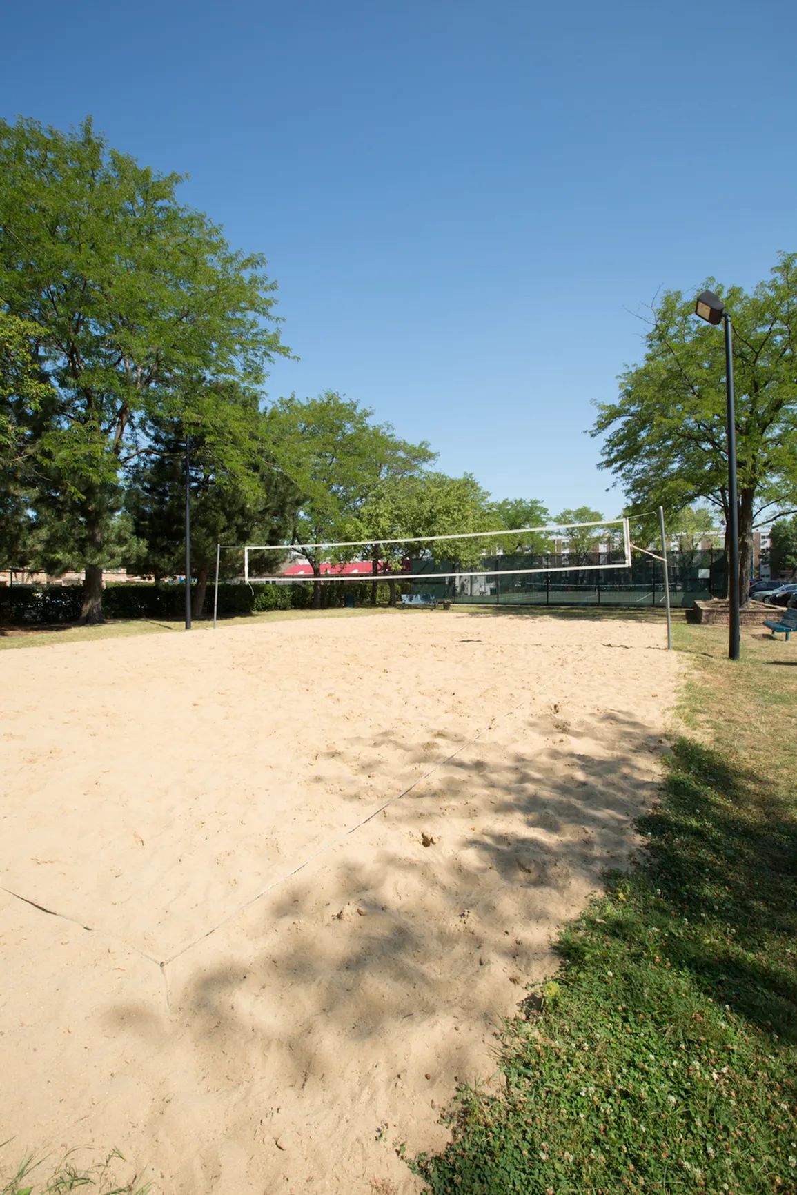 Volleyball Court