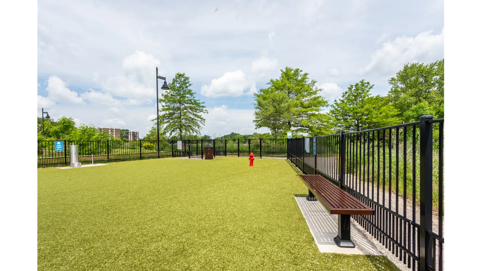 dog park