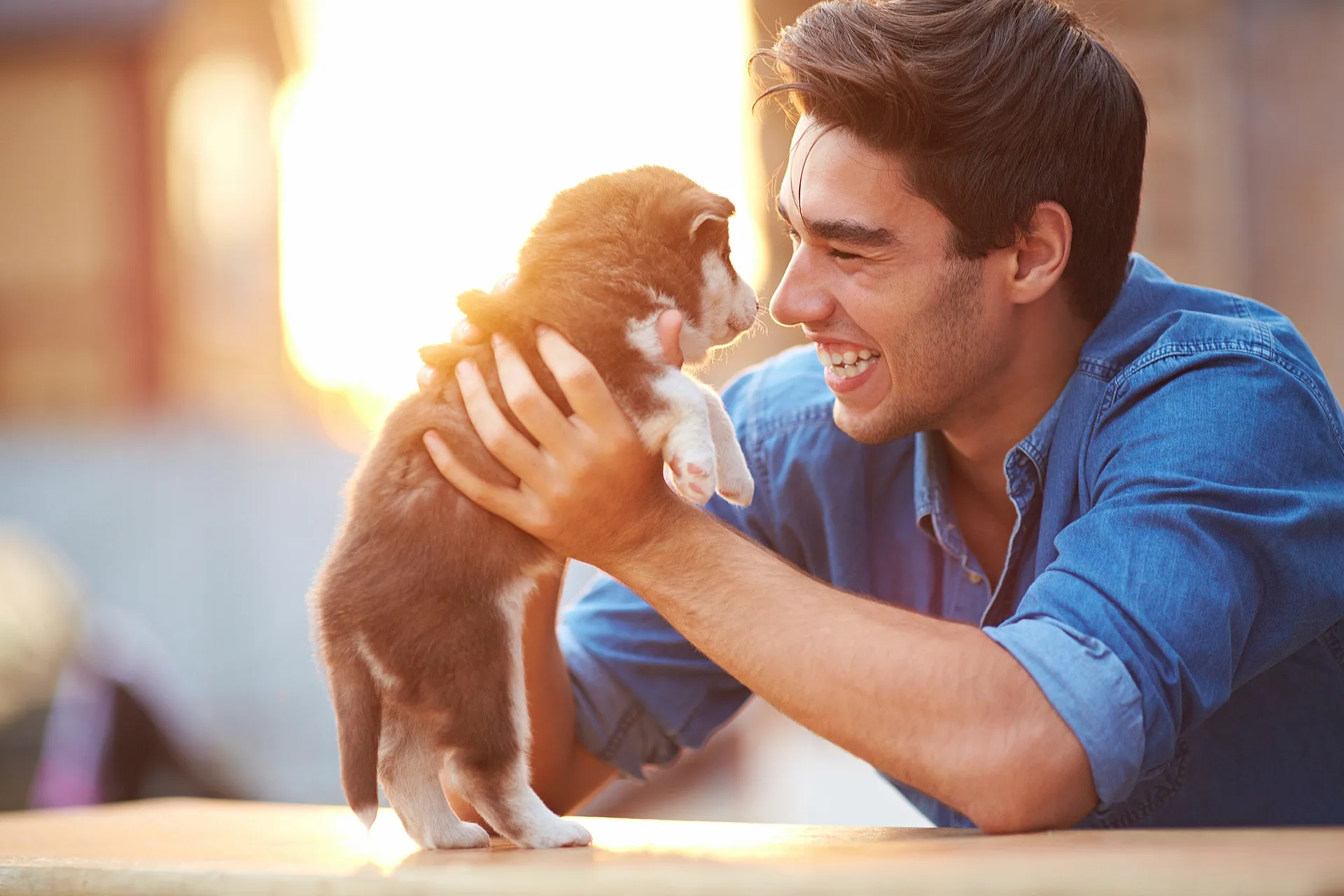 puppy