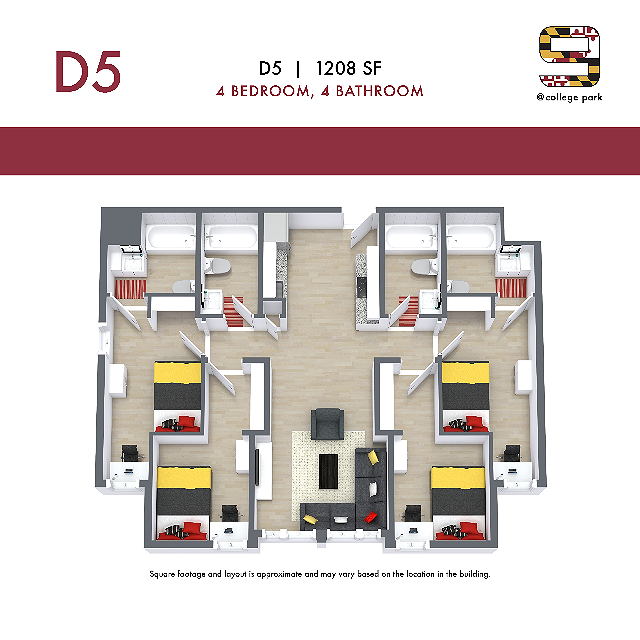 D5