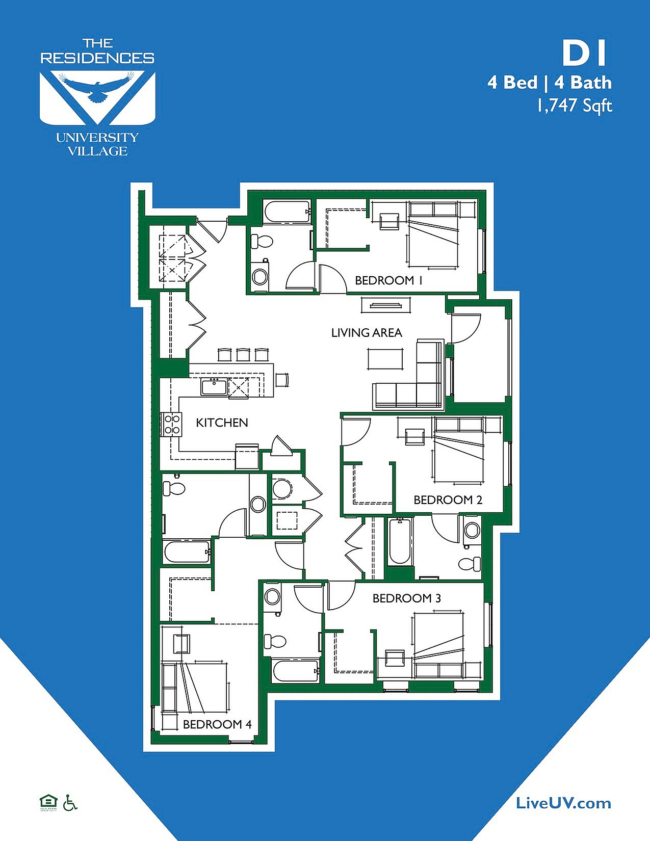 Spacious D1 floor plan in University Village featuring 4 bedrooms, 4 baths, open living area, and modern kitchen, 1,747 sqft.