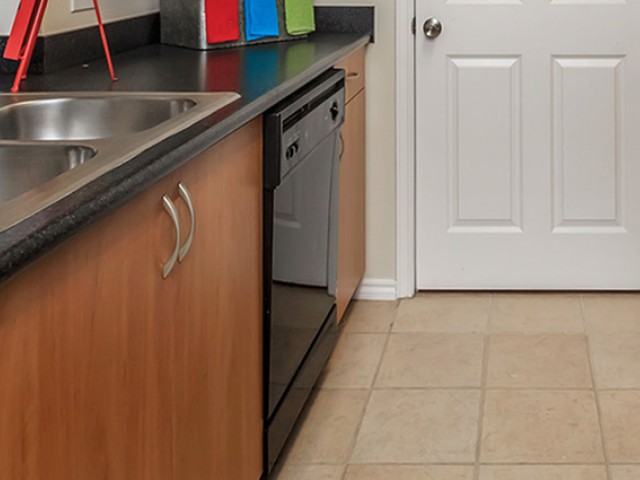Image of Dish Washer for The Oasis