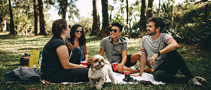 Lively outdoor picnic with friends enjoying nature and sunshine, featuring a playful dog joining the fun.