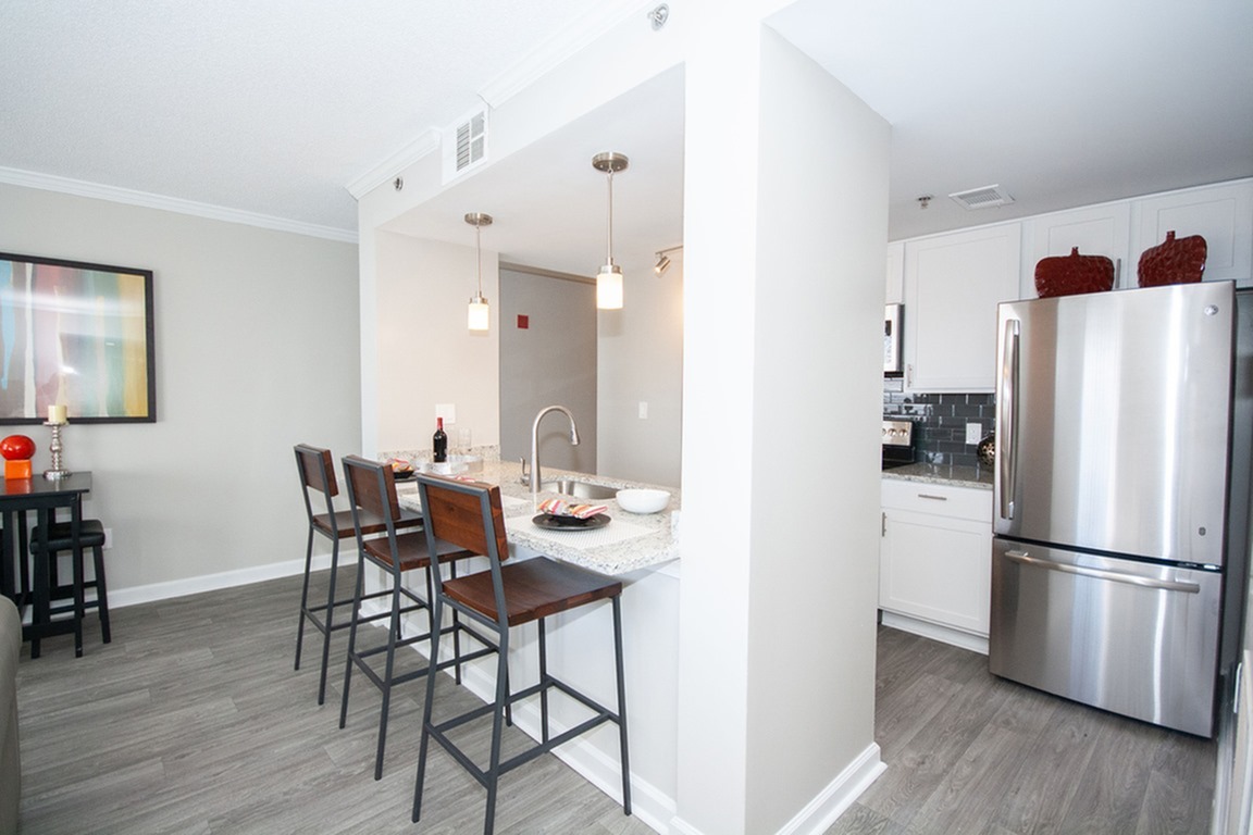 renovated sandy springs apartment