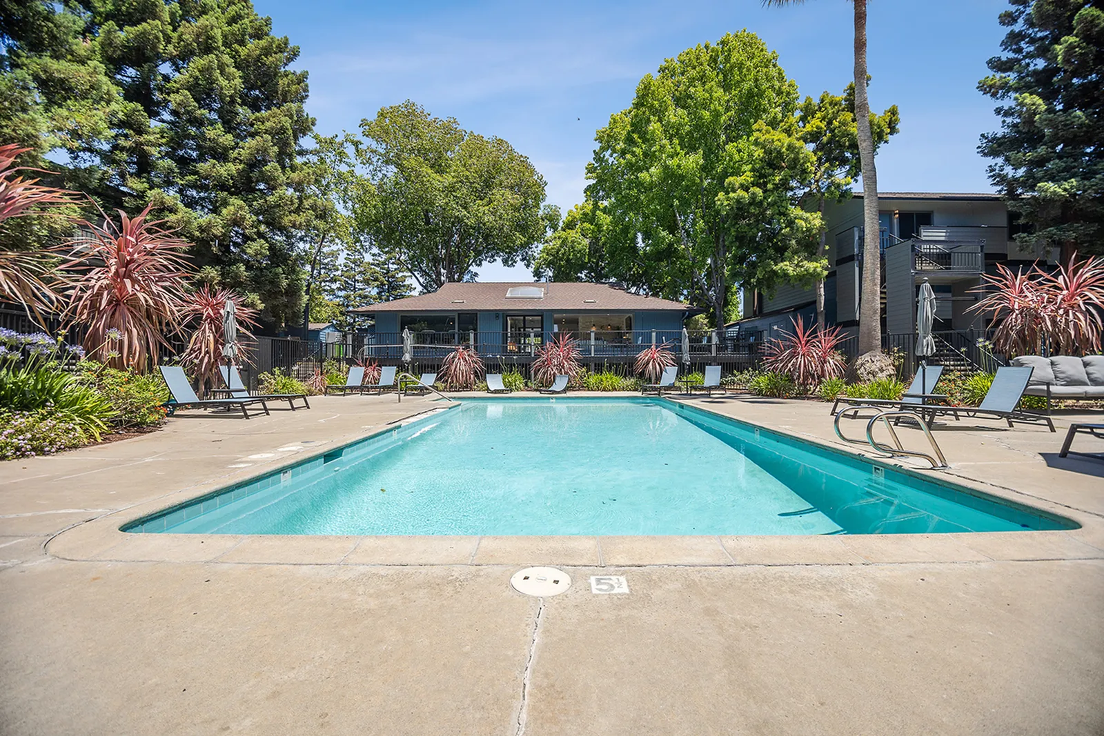 ReNew One59 sparkling swimming pool and sundeck with lounge seating surrounded by lush trees