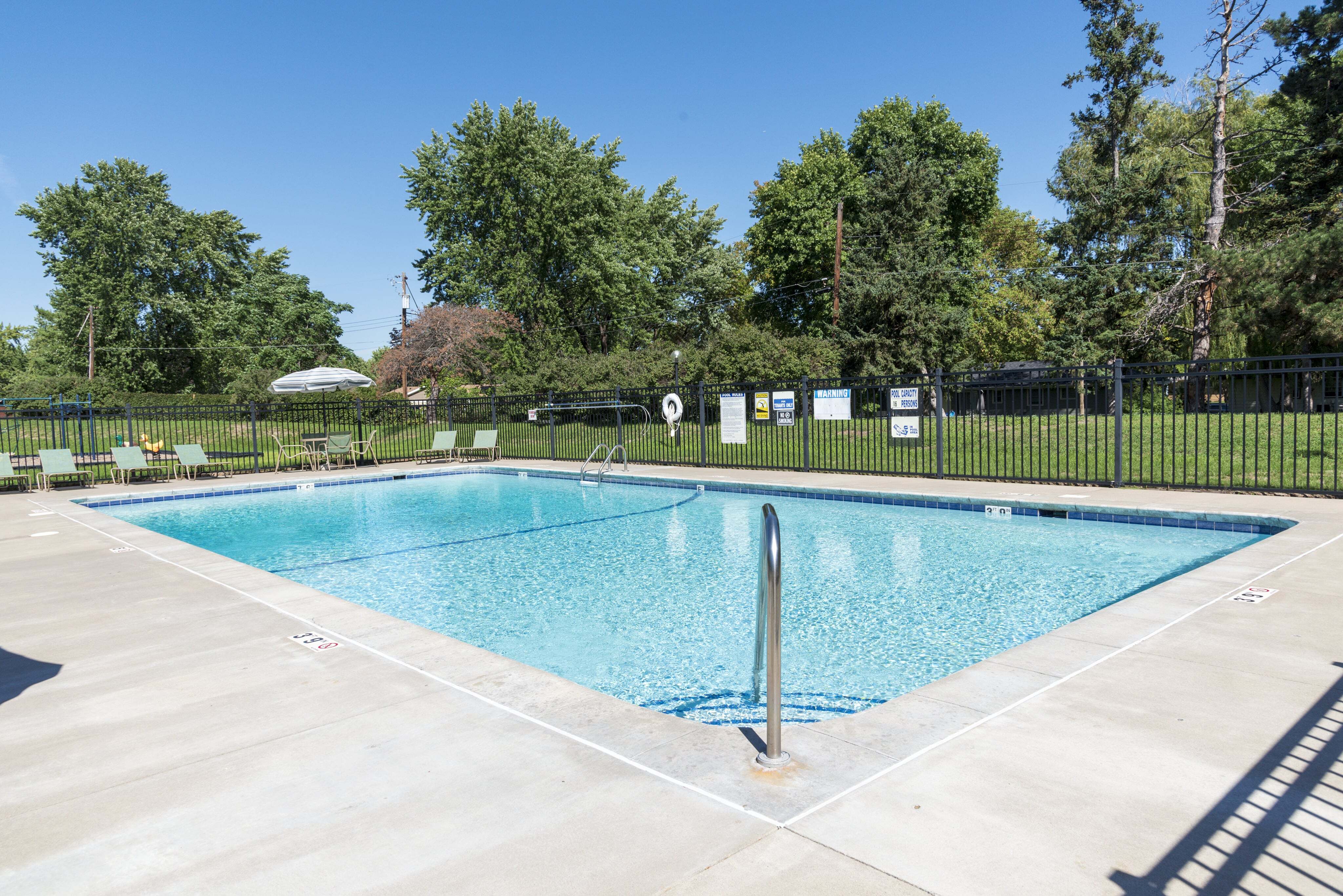 ReNew at the Grove pool and sundeck with lounge chairs surrounded by lush trees
