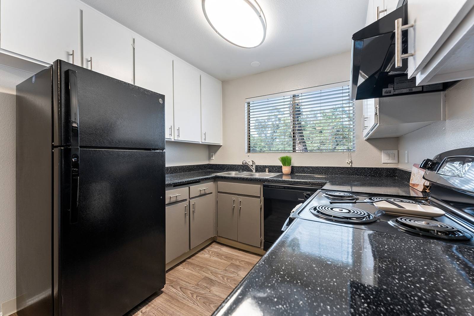 Floor Plan and Availability ReNew Alpine Apartment Homes for Rent in