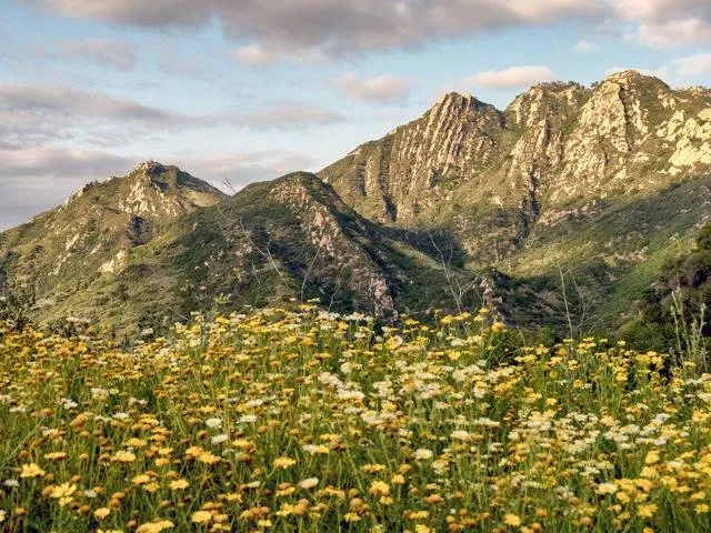 CONEJO VALLEY OPEN SPACE PRESERVE & SANTA MONICA MOUNTAINS NATIONAL RECREATION AREA