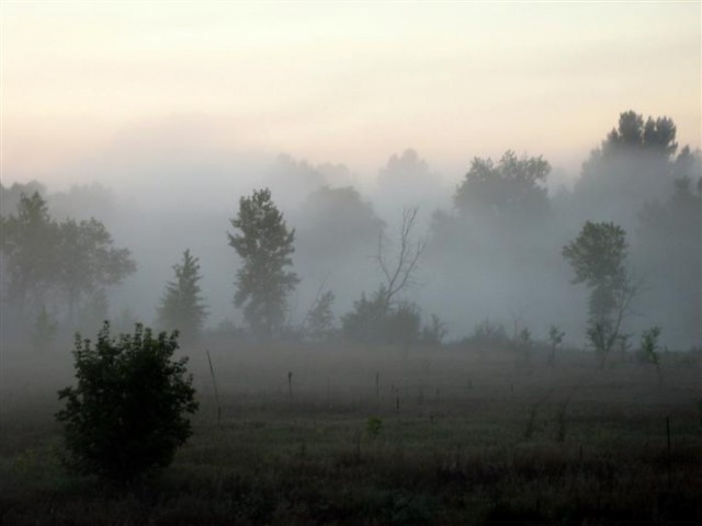 RedFox Meadows Natural Area