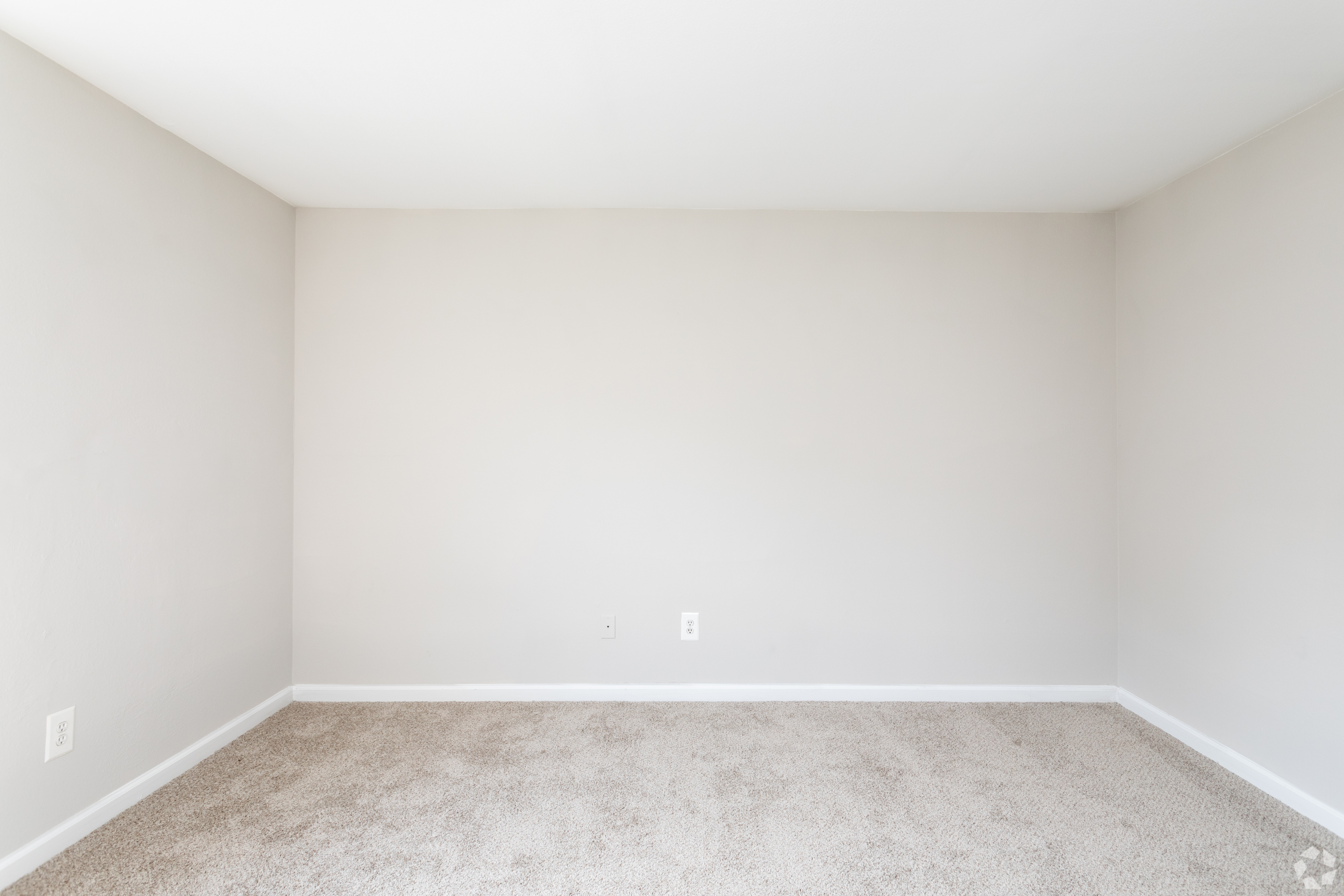 Spacious, light-flooded bedroom with soft carpet and neutral wall tones.