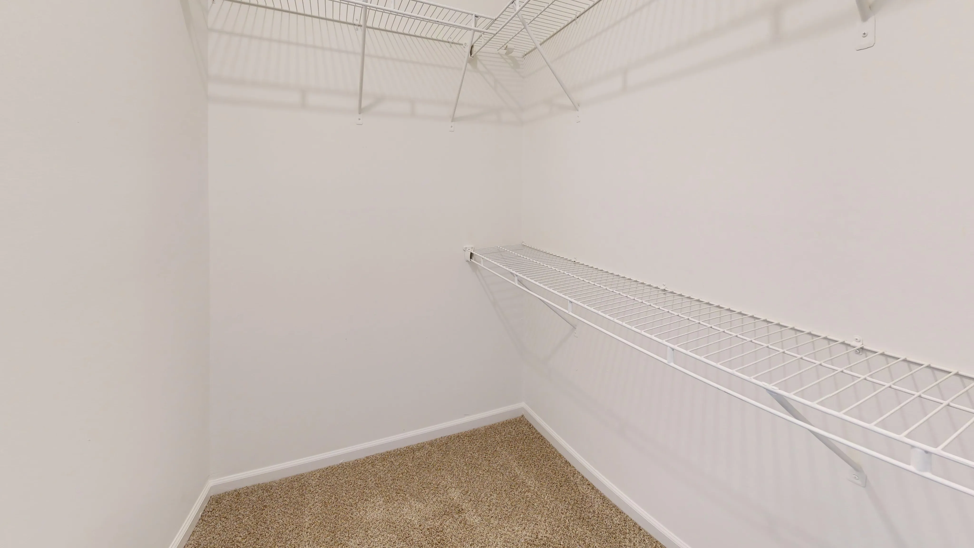 Spacious walk-in closet with white wire shelving and plush carpeting, perfect for organized storage.