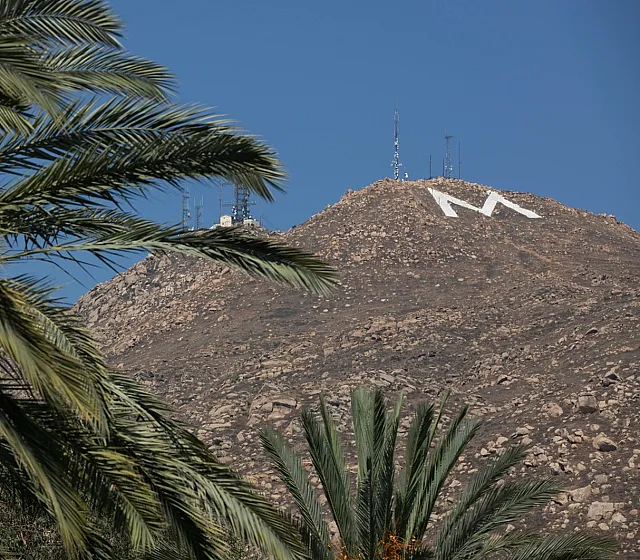 Breathtaking view of a mountain with a prominent 'M' sign, framed by lush palm trees under a clear blue sky.