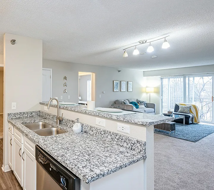 Modern open-concept apartment featuring a stylish kitchen with granite countertops and spacious living area featuring elegant decor and natural lighting.