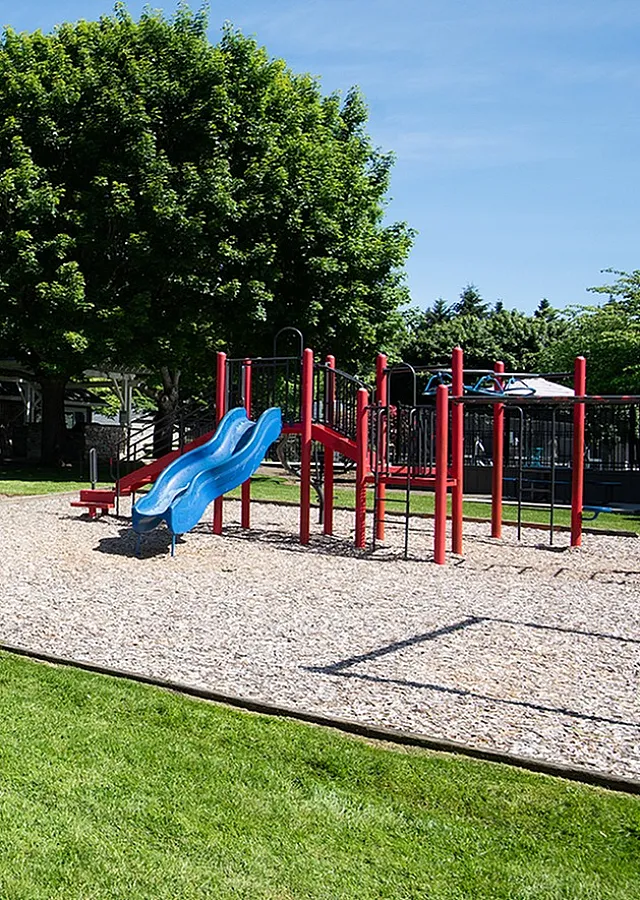 Vibrant community park with modern playground, inviting picnic areas, and lush green surroundings at ReNew Dash Point.