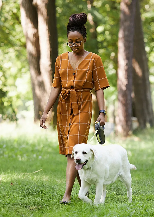 Delightful park stroll with a friendly white Labrador, perfect for nature lovers seeking serene moments.