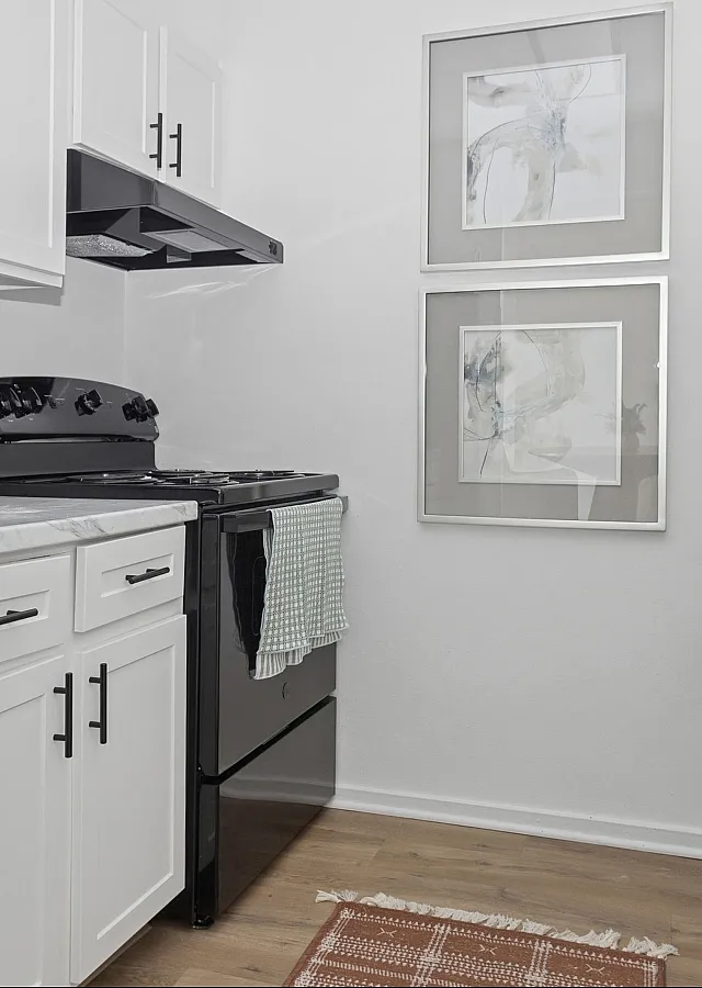 Chic, modern kitchen with sleek black appliances, white cabinetry, and elegant wall art, perfect for culinary enthusiasts.