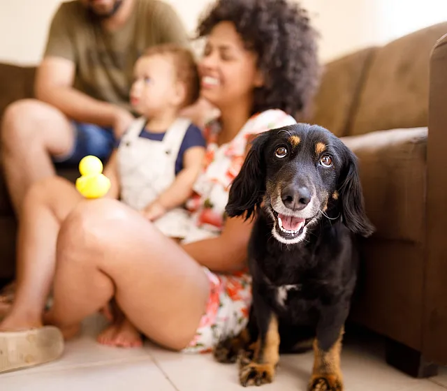 Cozy living room scene with a joyful family and their adorable dog, creating a warm and inviting atmosphere.