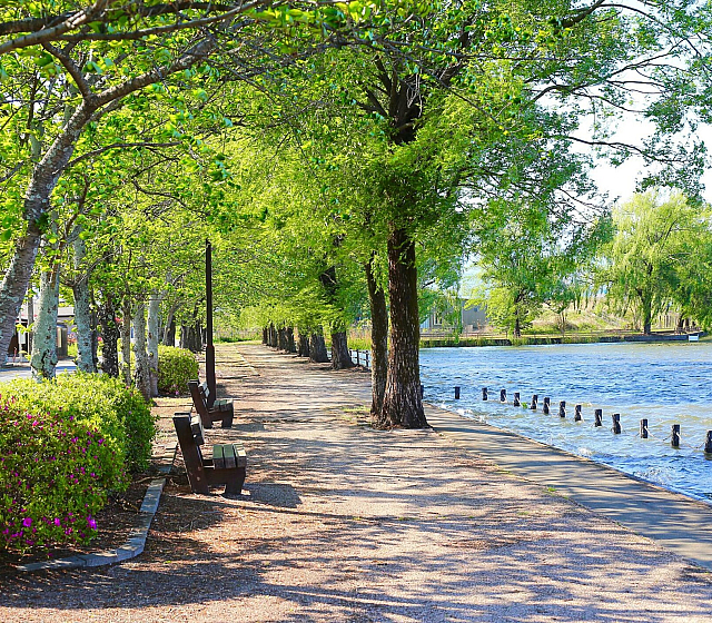 Scenic riverside pathway lined with lush green trees and inviting park benches, ideal for relaxation and nature walks.