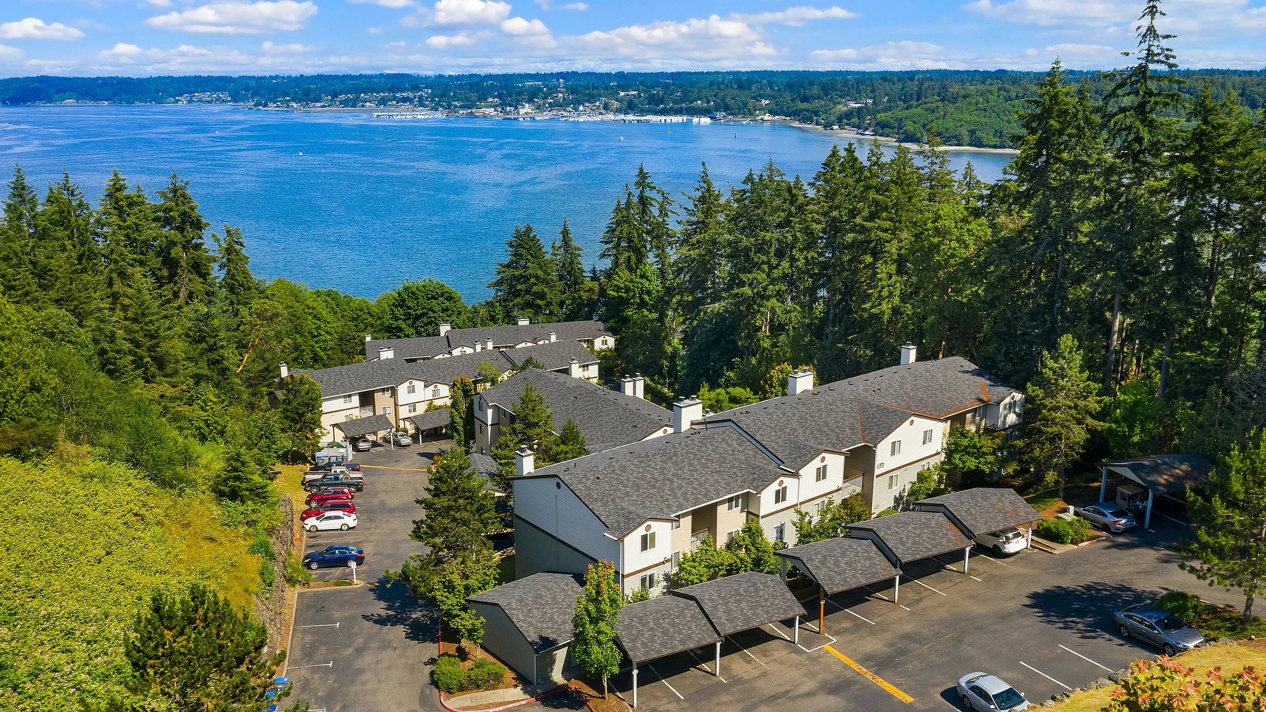ReNew Waterview Aerial