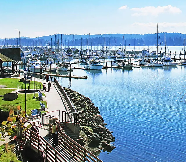 Scenic waterfront view with a vibrant marina, lush green park, and charming boardwalk under a clear blue sky.