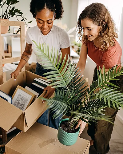 Bright and welcoming apartment with natural light, featuring individuals unpacking boxes and adding greenery for a fresh and lively atmosphere.