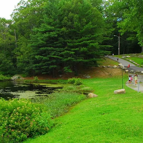 Serene park landscape with a tranquil pond, lush greenery, and a scenic walking path inviting relaxation and outdoor enjoyment.