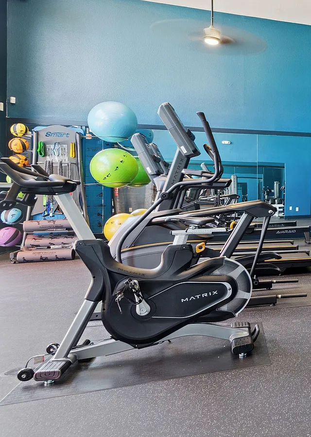 Modern and spacious fitness center with high ceilings, equipped with exercise bikes, treadmills, and colorful exercise balls, framed by large glass windows.
