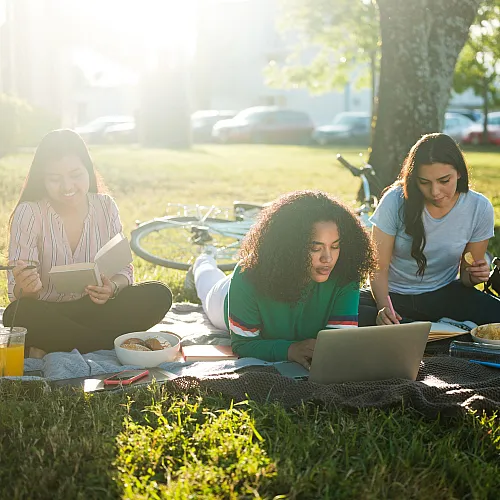 Three friends enjoying an outdoor picnic with snacks and a laptop on a sunny day, creating a vibrant and relaxed atmosphere.