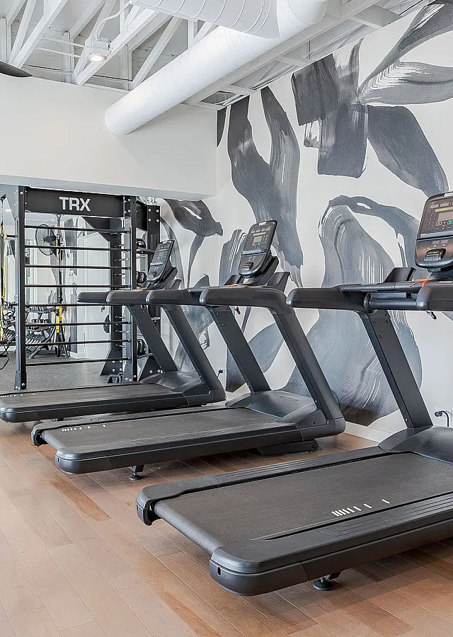 Modern fitness center featuring state-of-the-art treadmills, TRX equipment, and vibrant wall art for an energetic workout environment.